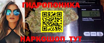 ГАЛЛЮЦИНОГЕННЫЕ ГРИБЫ Свободный