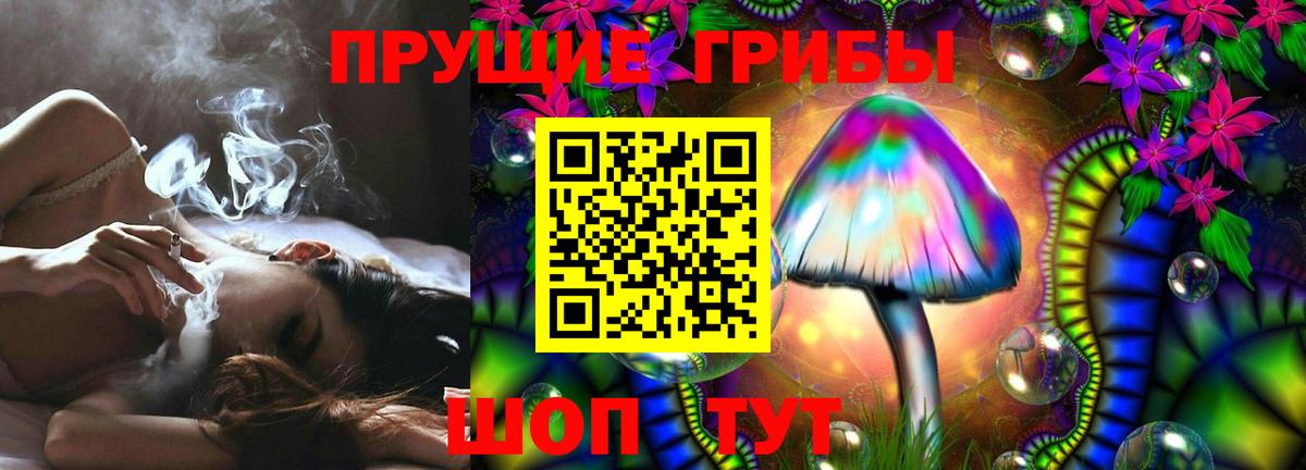 Спасск-Дальний  Галлюциногенные грибы Psilocybe  Вход с VPN 